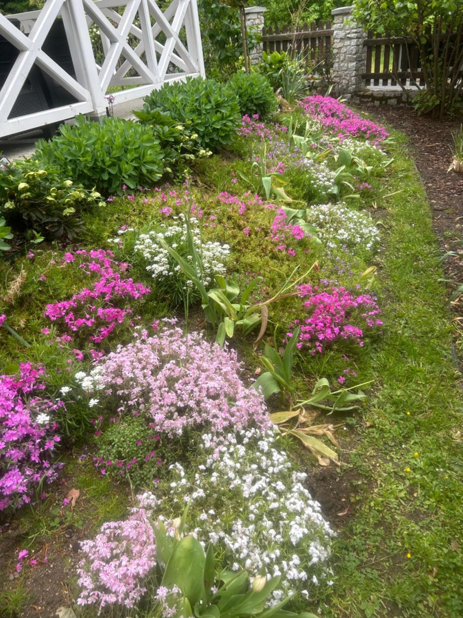 Willa Kaliniec Homestay
